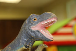 Scotty's House // 12.03.16