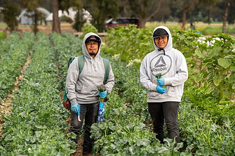 240118-alba-immigrant-farmworkers-farmland-access-land-access-1-top-Father-Son-courtesy-AL