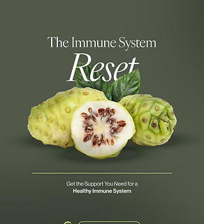 Authentic Perspectives-PartnerCo Noni Juice