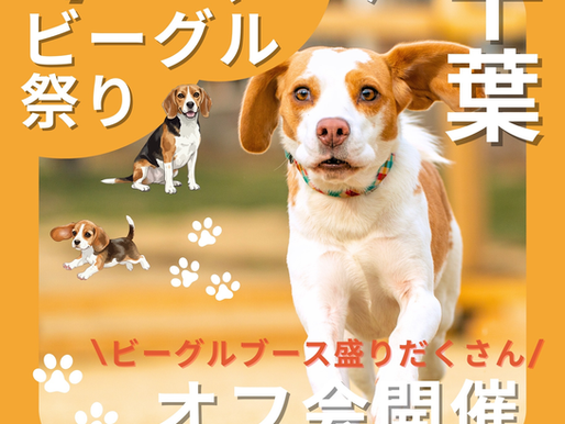 ビーグル祭り開催🎉