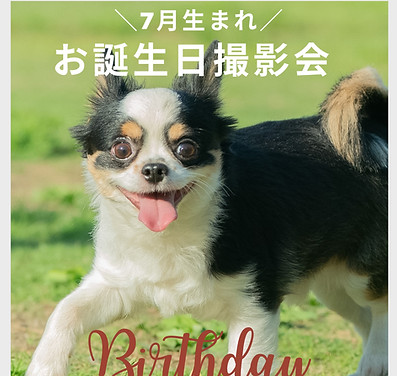 誕生月撮影会.jpg