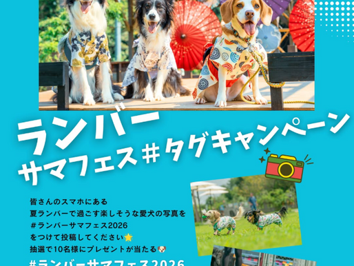 夏のハッシュタグキャンペーン