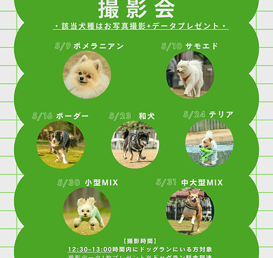 犬種撮影会.jpg