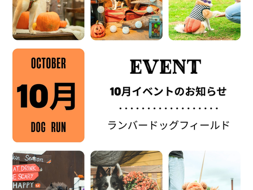 10月のイベント