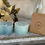 Thumbnail: Sukoon Candles