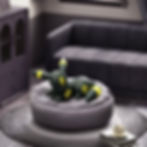 Thumbnail: Eeevee Umbreon Espeon Sylveon Jolteon Flareon Leafeon Vaporeon Glaceon Sleepy Holly Box Blind