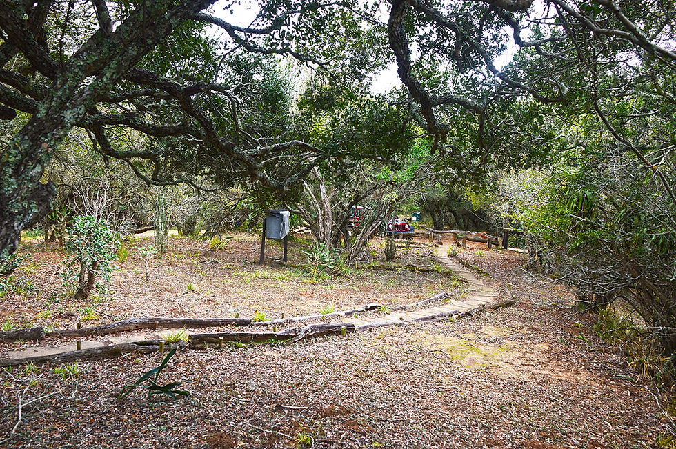 DSC_0123a.jpg