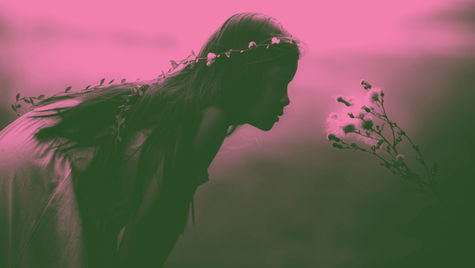 Why You Should Question the Trustworthiness of Wellness Influencers and How to Spot Red Flags