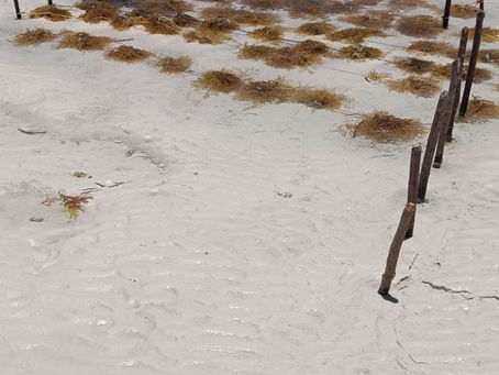 In Jambiani, Nobody Checks the Time, They Check the Tide