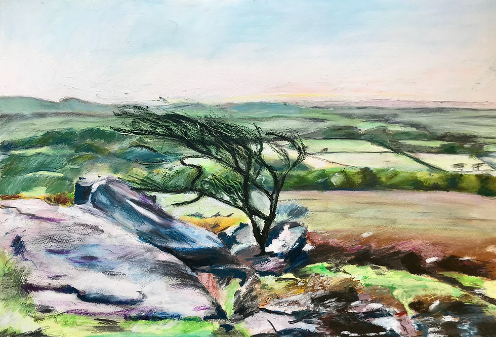 Windswept trees on Pew Tor