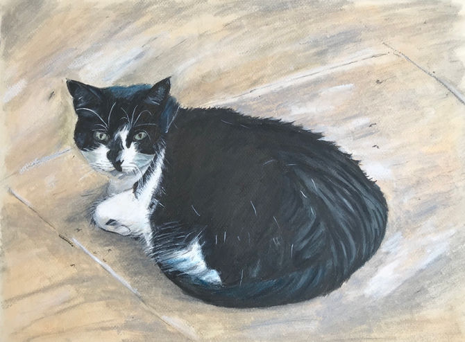 “Lily Mae” Pusscat no2