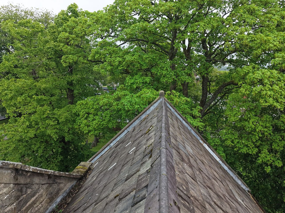 Image of grade two listed church roof in Lancashire