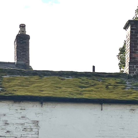 Image of heritage roof with damaged slate and roof covering