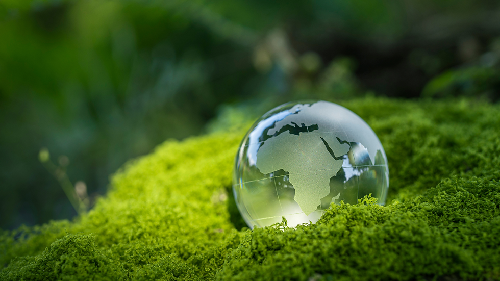 La plupart des stratégies ESG s’arrêtent à la stratégie.