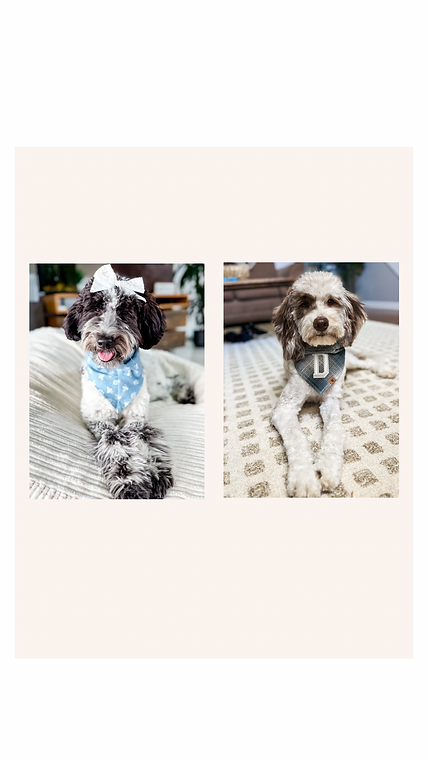 Beige Minimalist Abstract Instagram Story Background Template.png