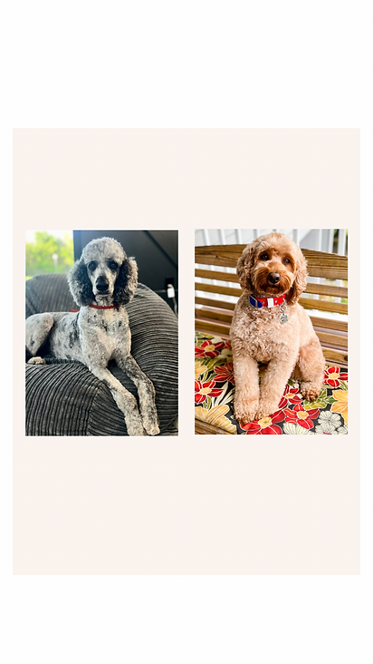 Beige Minimalist Abstract Instagram Story Background Template.png