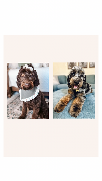 Beige Minimalist Abstract Instagram Story Background Template.png