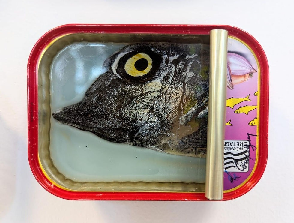 Tins - Ortaire de Coupigny