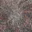 Thumbnail: Bush Medicine Seeds - Sharon Numina