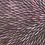 Thumbnail: Bush Medicine Seeds by Maryanne Gibson