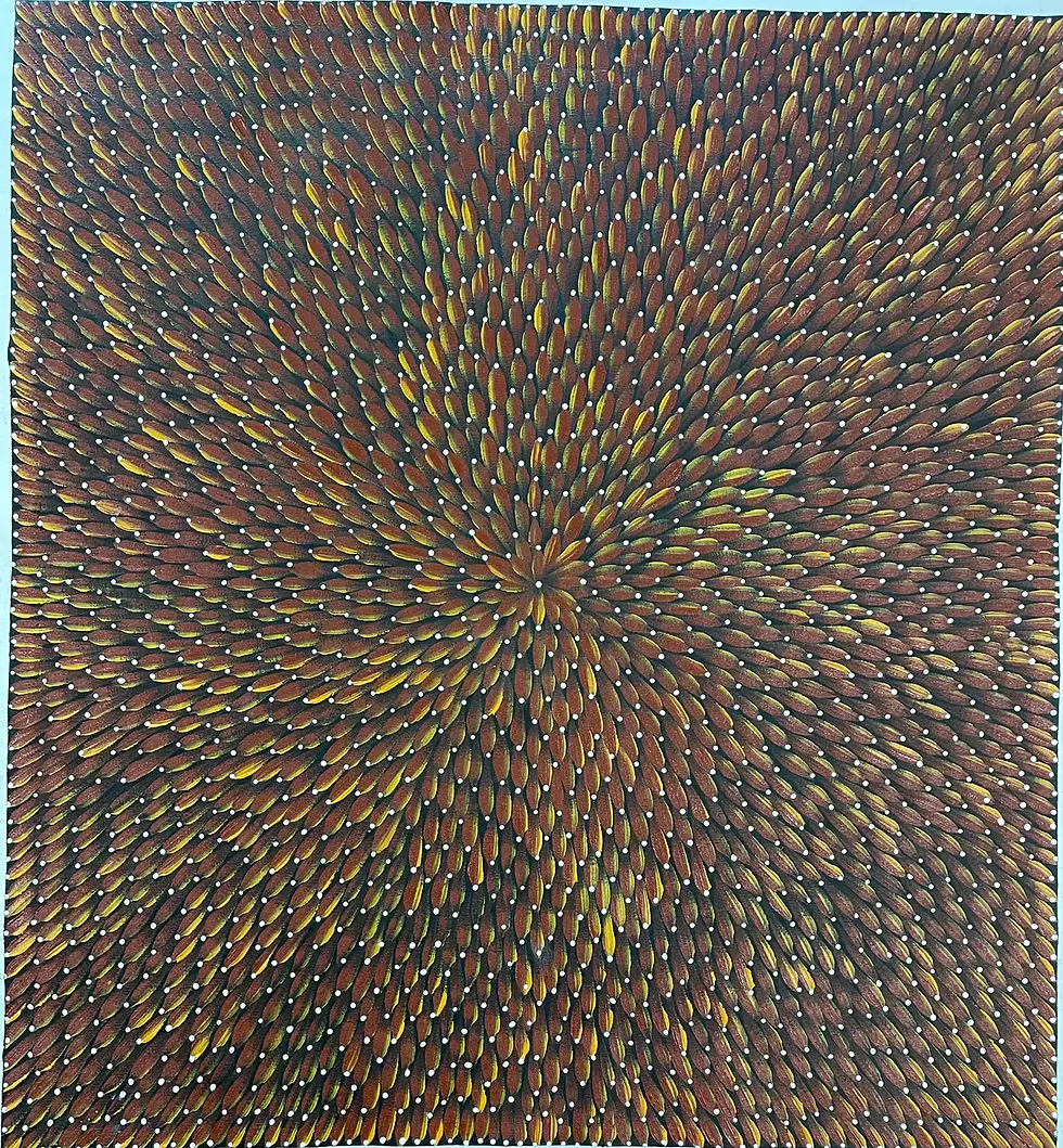 Bush Medicine Seeds by Maryanne Gibson