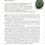 Thumbnail: Moldavite (10.)