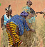 Screen Shot 2025-02-17 at 18.58_edited.j