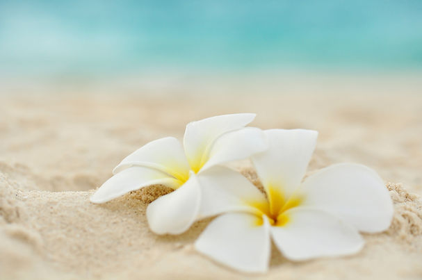 massage relaxing well-being calm