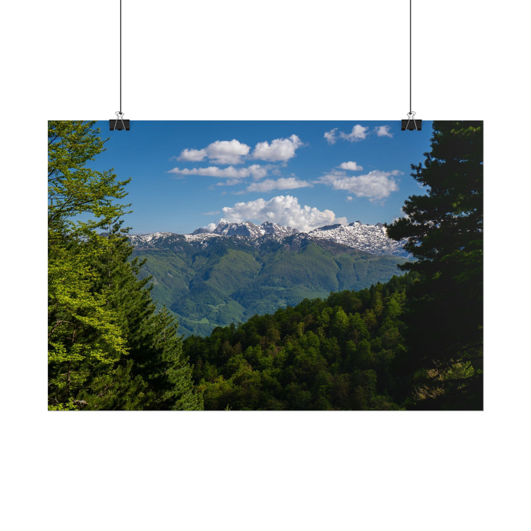 Alpine Vista