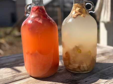Fermented Soda: A Living Drink