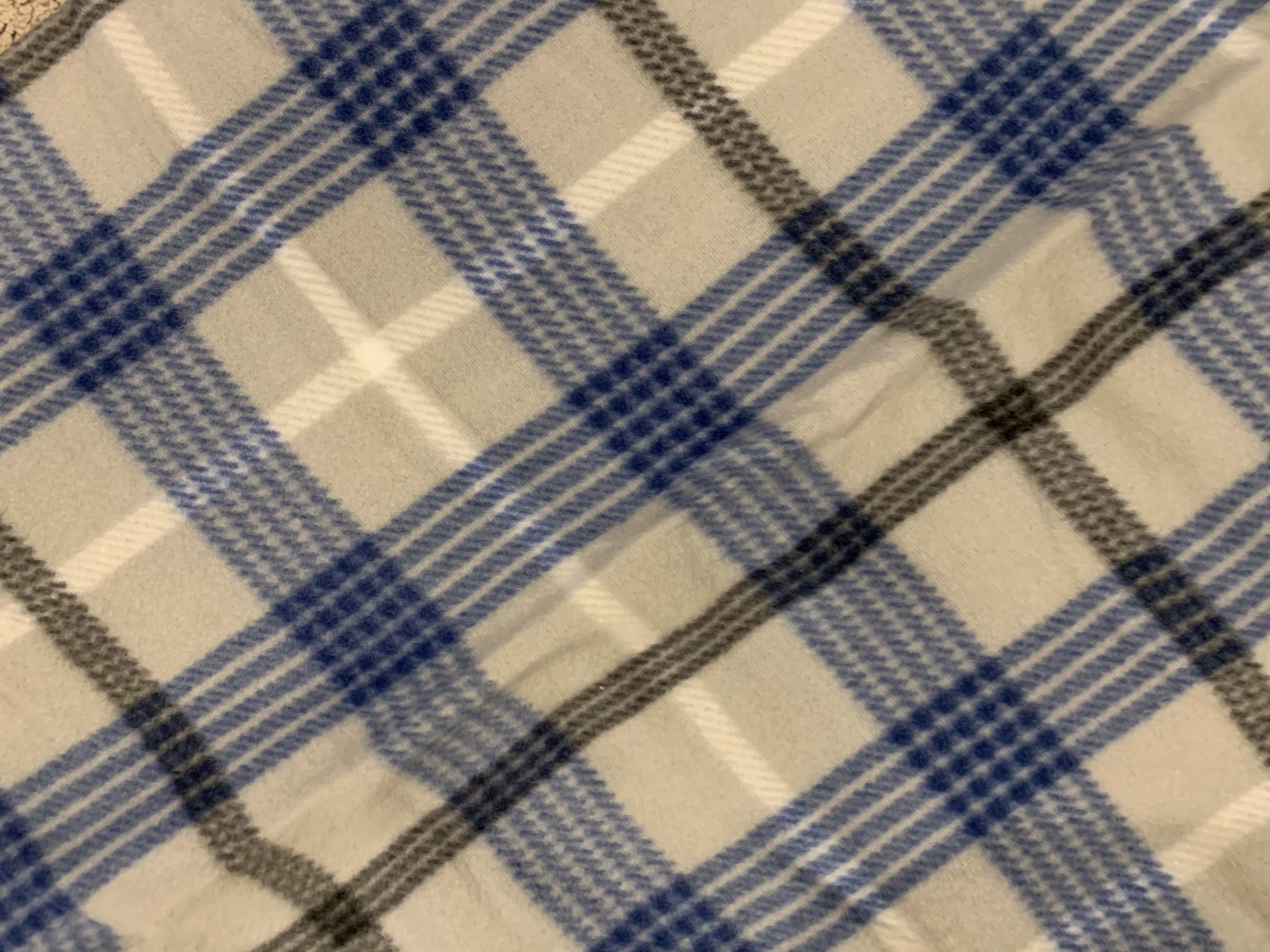 Blanket #00011