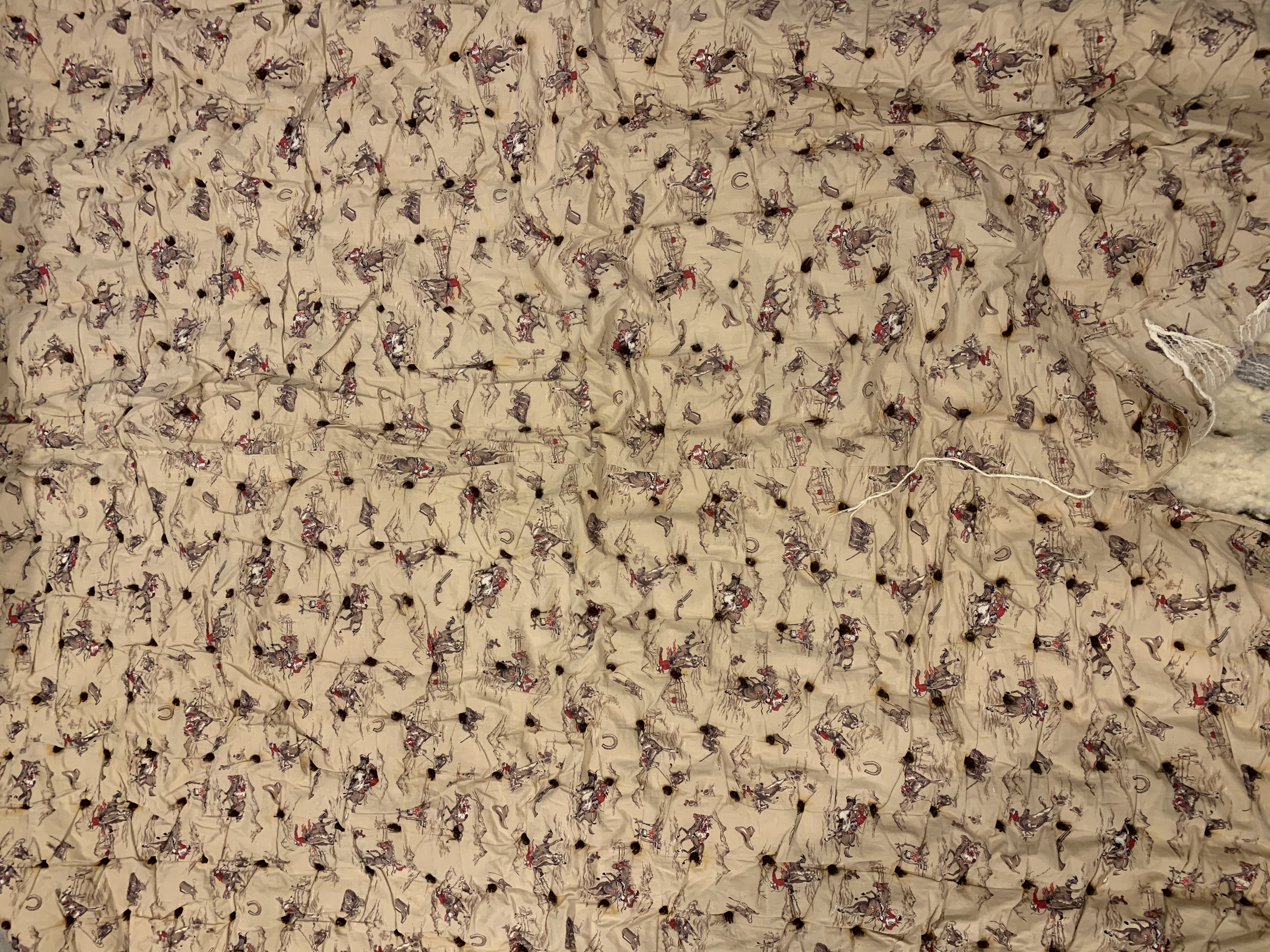 Blanket #00035