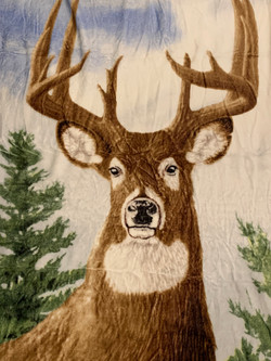 Blanket #00079