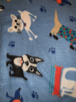 Blanket #00093