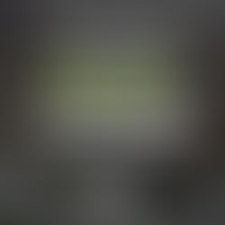 請出席7月4日特別業主大會