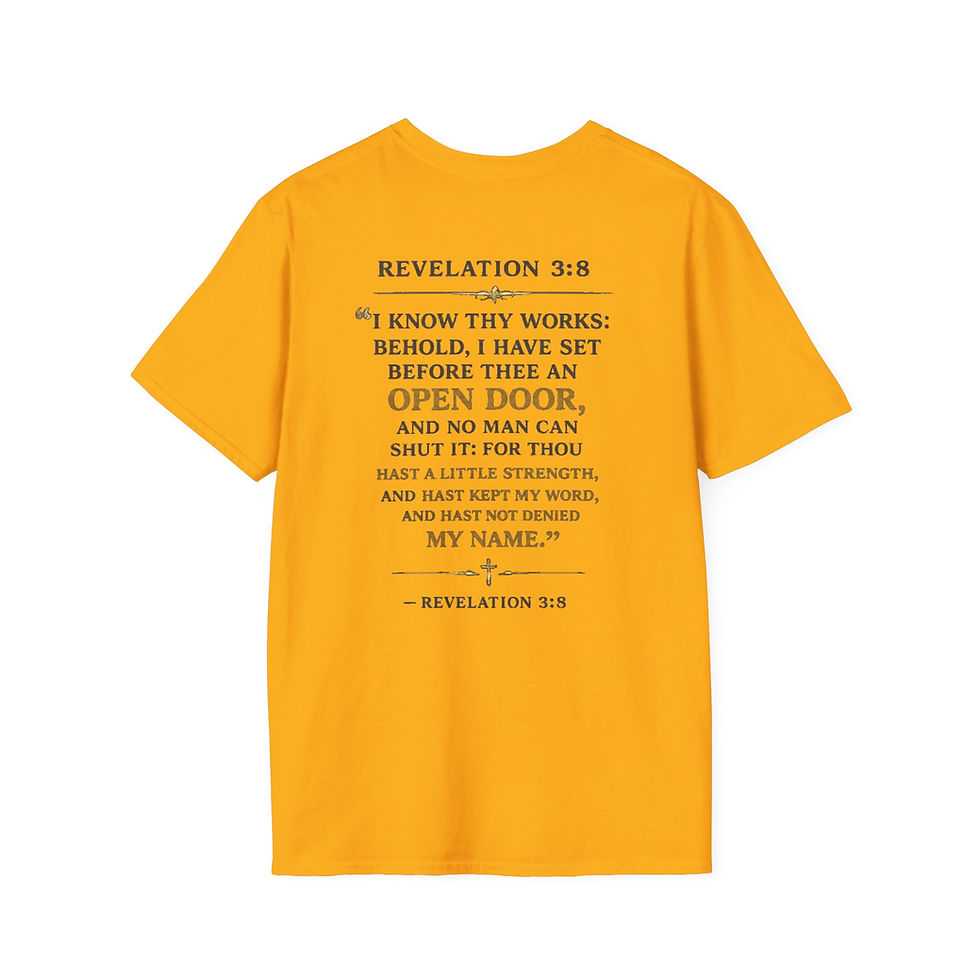 Thumbnail: T-Shirt — Sunrise Through Open Door Graphic Tee