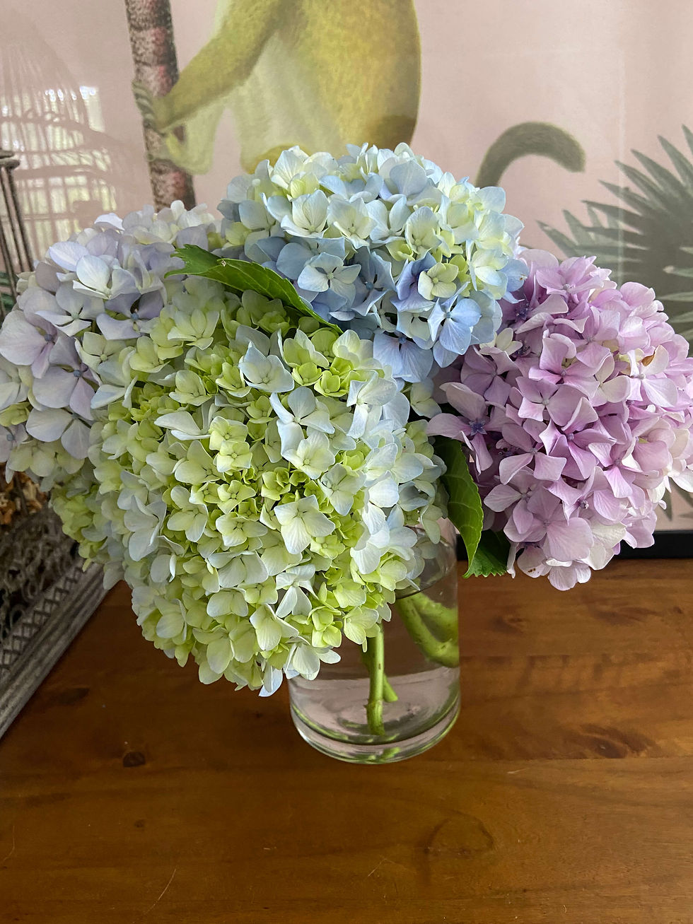 Bouquet of fresh hydrangeas arranged by Balmain florist, available for flower delivery Balmain and Sydneyโs Inner West