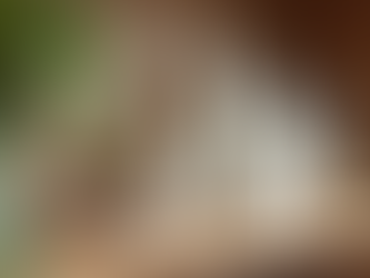 Eco-Friendly Pet Care Solutions: Nurturing Health Naturally