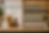 42e617c7-c6cc-458c-a997-34727f09f474.png