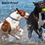 Thumbnail: Dog Flea and Tick Collar All Natural Lasts 8 months 2 per pack