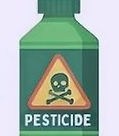 Pesticide