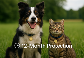 Protects up to I year