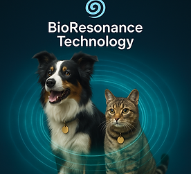 VERDEPET LABS flea collar tag