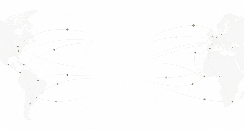 Airline Routes White.png