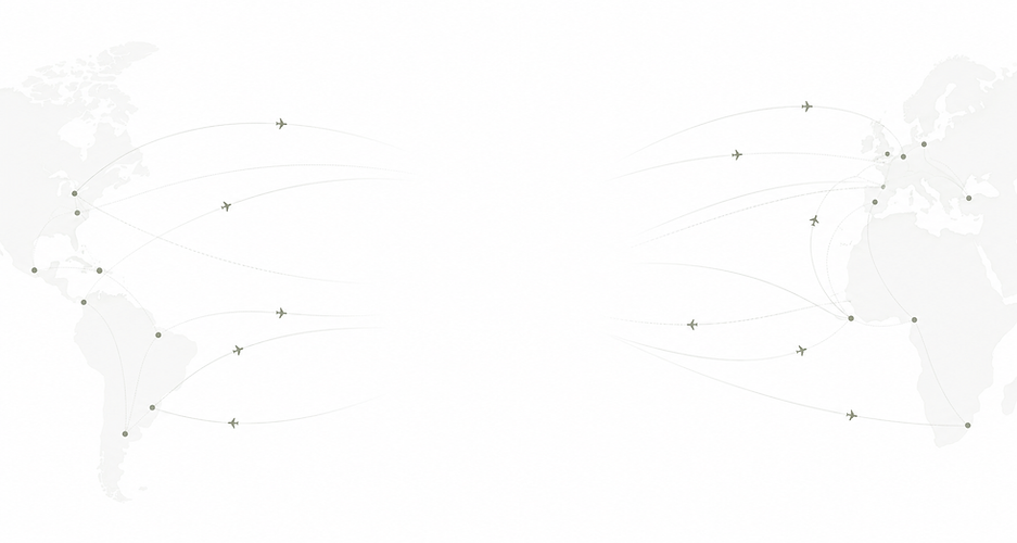 Airline Routes White.png