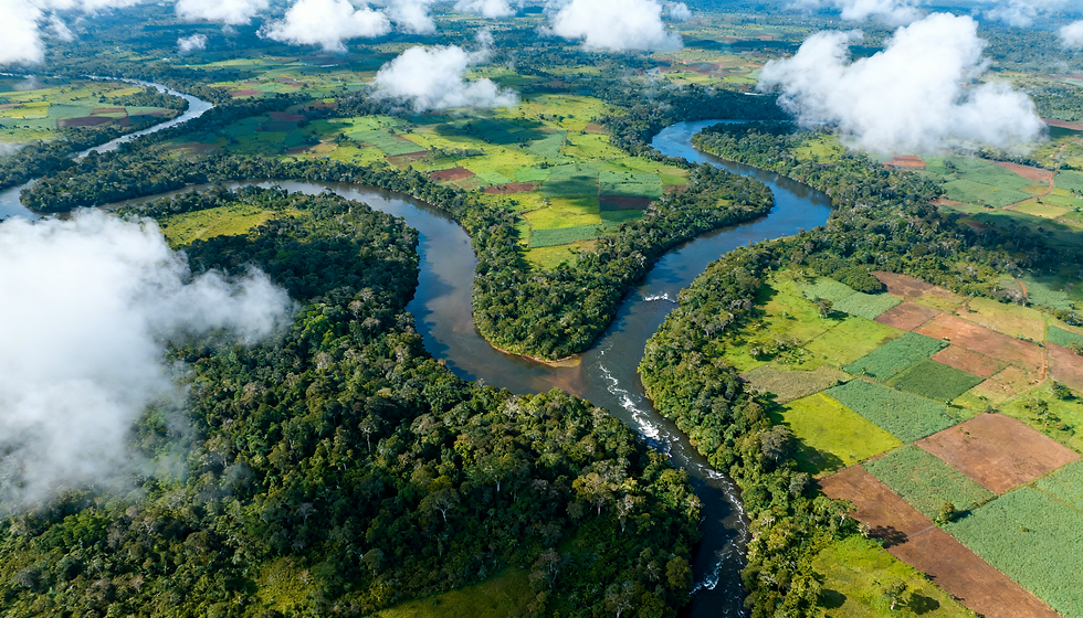 freepik__south-american-landscapes-with-rivers-forests-agri__34442.png