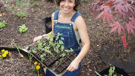 CREATIVE SURVIVAL FROM A SONGBIRD WITHOUT A NEST