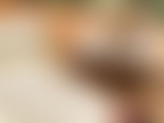 Words: The Architects of Your Reality