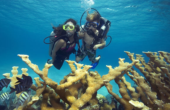 Nassau-Discover-Dive-Excursion.jpg