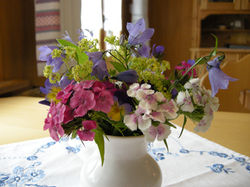 Garten-Gruss